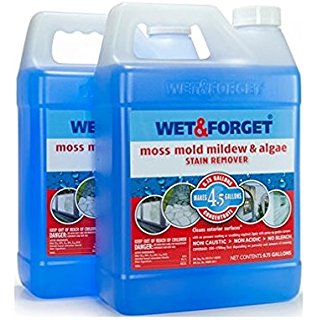 Wet & Forget - Moss Mold Mildew & Algae Stain Remover